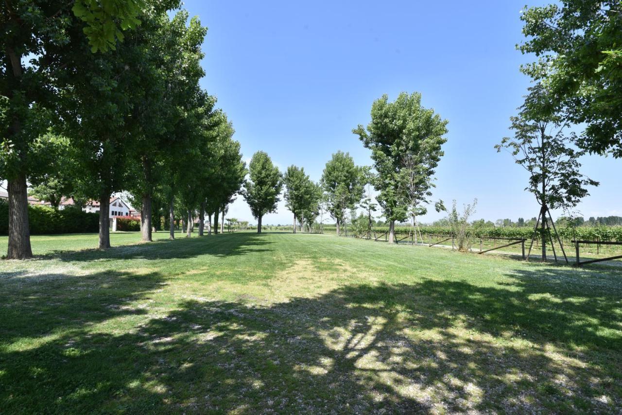 Bed and Breakfast Tenuta Le Risare Campo San Martino Екстер'єр фото